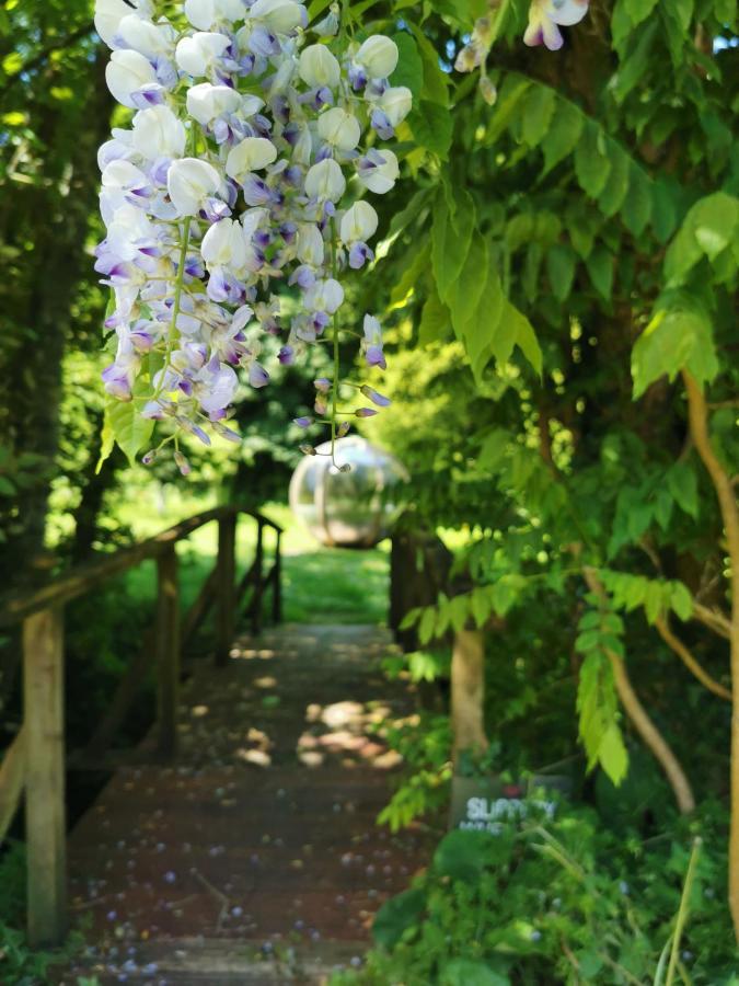 Rose In Vale Country House Hotel St Agnes  Exterior photo