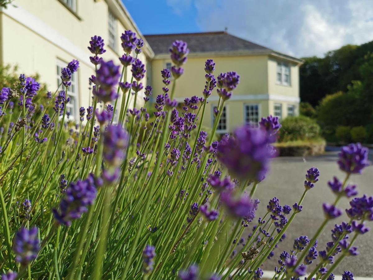 Rose In Vale Country House Hotel St Agnes  Exterior photo