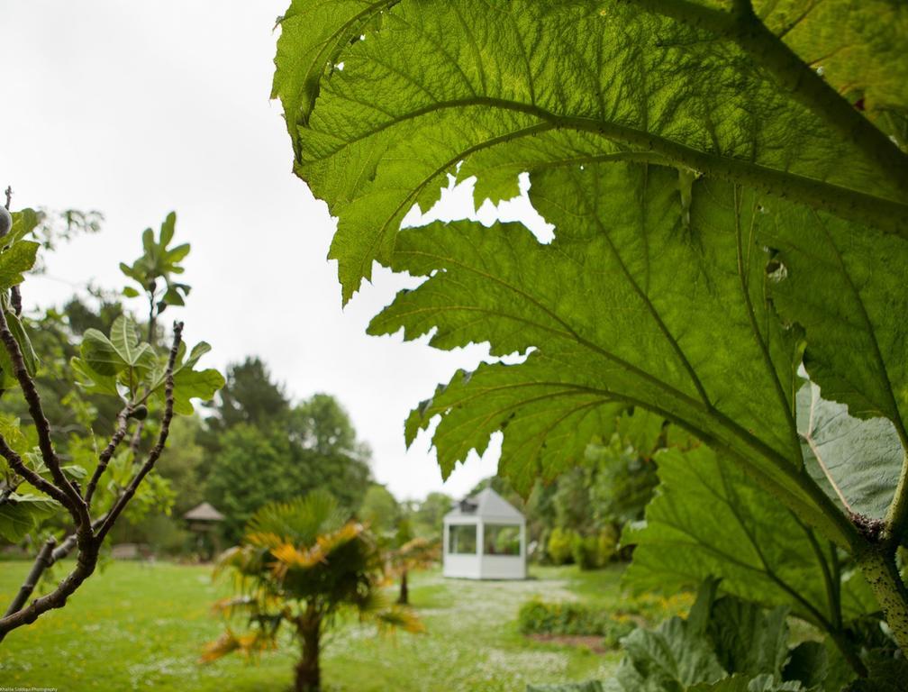 Rose In Vale Country House Hotel St Agnes  Exterior photo