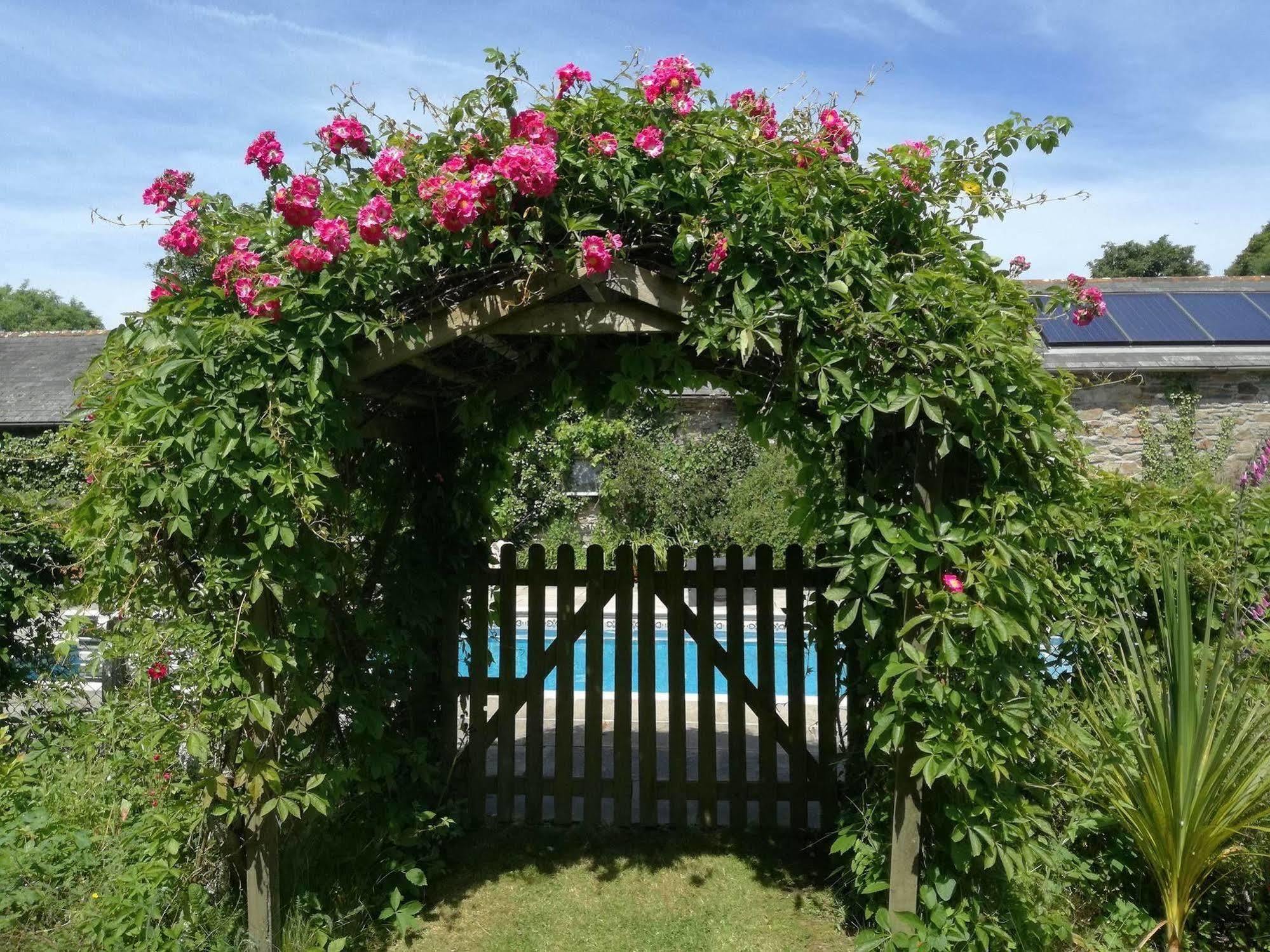 Rose In Vale Country House Hotel St Agnes  Exterior photo